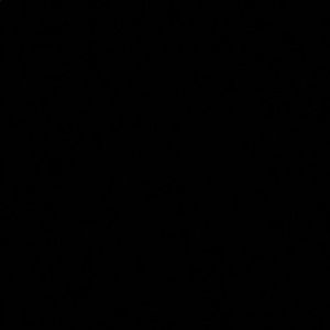 Meet your Posher, Irene